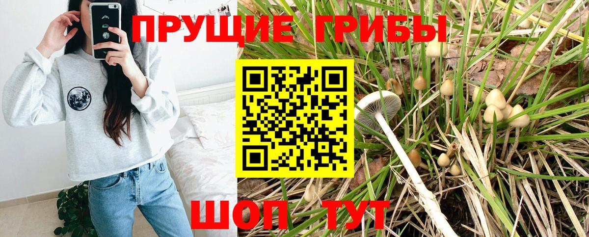  COCAIN Ачхой-Мартан