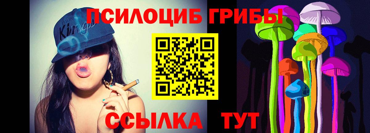 Псилоцибиновые грибы Cubensis Ачхой-Мартан