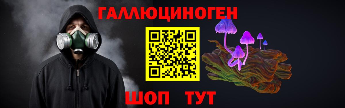Псилоцибиновые грибы прущие грибы  Вход с VPN  Ачхой-Мартан 